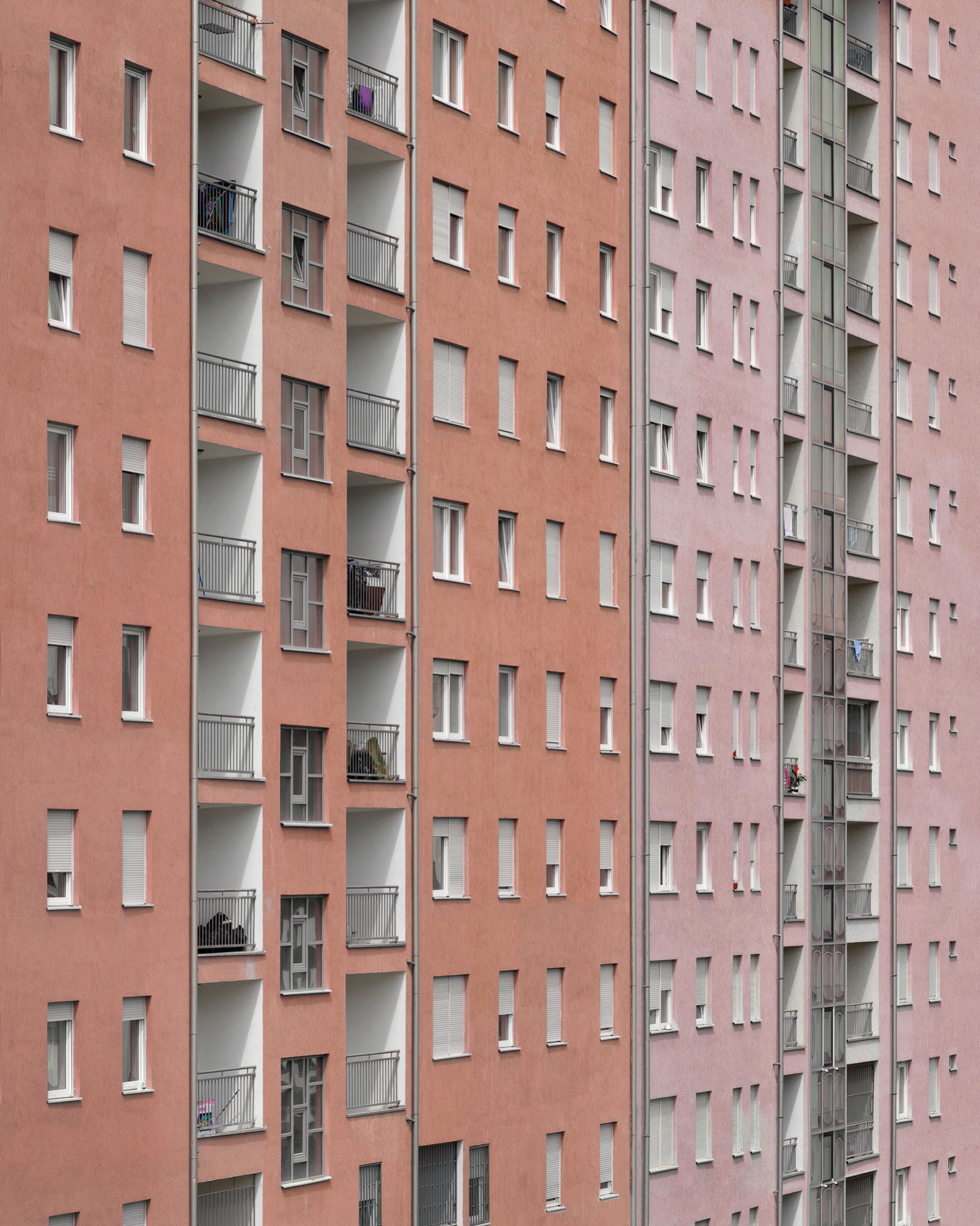 Favorite Colors | Pristina, Kosovo
